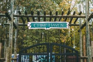Chimp Haven entry sign