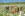three dogs sitting in wide open field with flowers