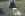 dog smiling with owner having a camera about to take a picture