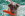 dog in water with orange toy