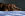 brown dog laying on blue blanket