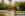 dog with girl on paddle board
