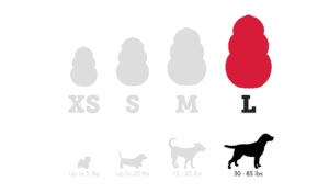 KONG sizing guide with large highlighted