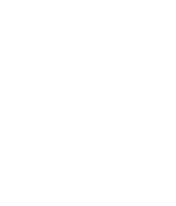 ikonet for salgstagstikon