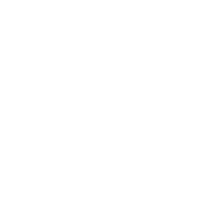 money sign icon