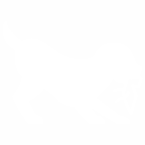 Chewing icon in white.