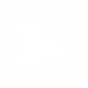 Crate training icon in white.