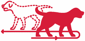 Separation anxiety icon in red.