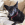 Cão preto com coleira vermelha