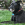 Schwarzer Hund mit rotem Halsband