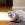 En hvid og grå kat sidder på en pude indendørs og kigger tilbage mod kameraet.