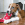 A brown and white dog laying on a wood floor with a KONG tug toy in its mouth.