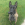 Ein braun-schwarzer Schäferhund sitzt im Gras und hat einen KONG Extreme im Maul.