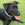 En sort hund med en grøn halsbånd|kraver sidder udenfor i græsset.