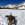 Brun hund leger i sneen mod bjerglandskab.