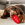 Um cão castanho farejando guloseimas de um KONG Classic vermelho.