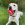 Un chien blanc dans l’herbe avec une boule de KONG rouge dans sa gueule.