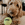 Een bruine hond ligt op het tapijt met een KONG bal voor hem.