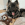 Een zwarte en volwassen hond liggend in een hond bed met een KONG beer pluche speeltje.