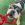 Um cão castanho, branco, e preto a puxar um brinquedo KONG vermelho.