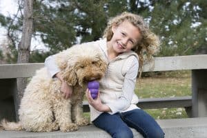 Little girl petting golden god with a purple KONG dog toy outside