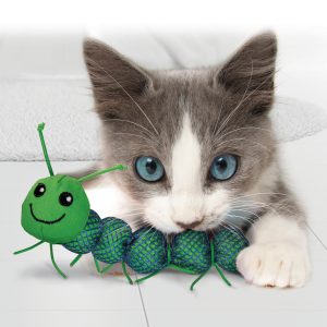 cat playing with a green caterpillar catnip toy 