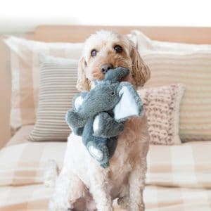 white dog sitting on a bed holding a stuffed elephant in it's mouth.