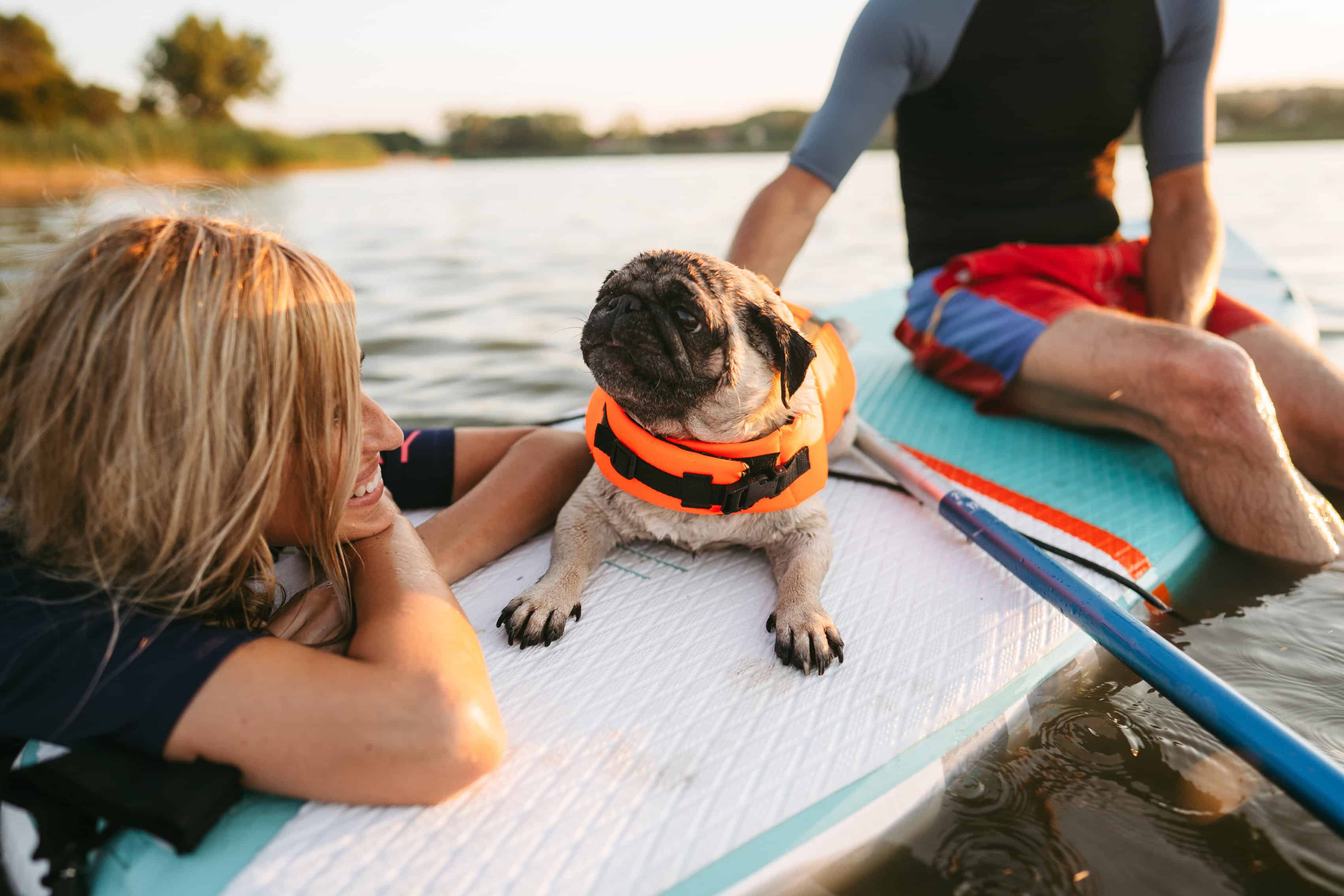 Dating With Dogs Series: 10 Dog-Friendly Date Ideas | The KONG Company