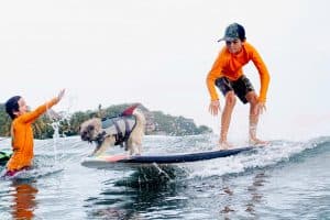 two kids surfing with Chia the dog who surfs