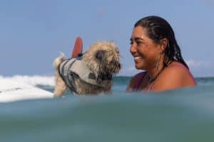 Chia a small dog on a surfboard with its owner swimming in the ocean