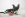 Cane marrone sdraiato a terra che lecca un giocattolo da masticare KONG rosso ripieno di cibo