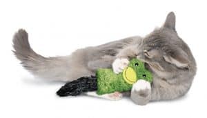 Grey cat laying and playing with green KONG dog toy
