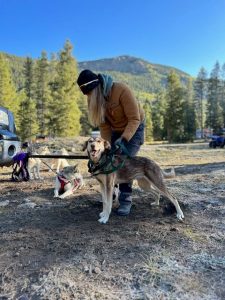 sled dog outside with their owner in the mountains