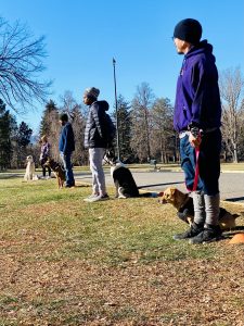 Four people with their logs all in a line standing outside on the grass