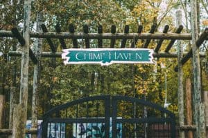 Letrero de entrada a Chimp Haven 